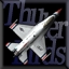 F-16C(ThunderBirds).jpg